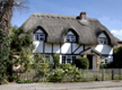 Thatched roof property insurance